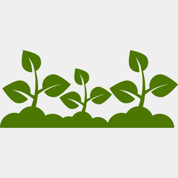 Plant Leaves Thumbnail